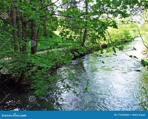 The Thur River in the Village of Neu St. Johann and in the ...