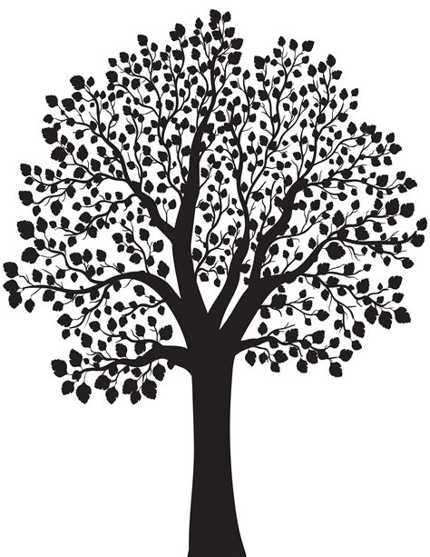 Tree Silhouette Illustration - Tree Silhouette PNG Clip Art Image png download - 6183*8000 ...