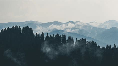 nd57-mountain-fog-nature-view-wood-forest-wallpaper