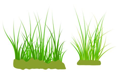 grass ground vector 6409890 Vector Art at Vecteezy