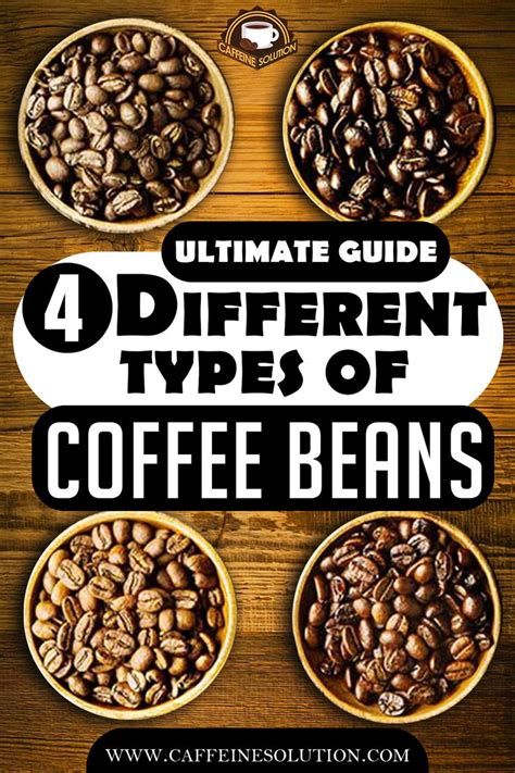 The Ultimate Guide to The 4 Different Types of Coffee Beans | Types of coffee beans, Different ...