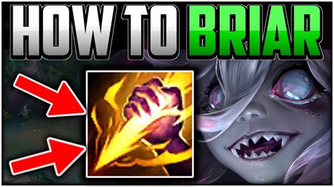 How to Play Briar Jungle for Beginners (Best Build/Runes) | Briar Guide ...