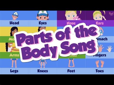 Parts of the Body Song - Tappable Pi…: English ESL video lessons