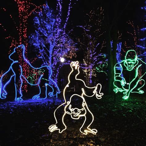 ZooLights Will Light Up Lincoln Park This Year With $5 Tickets And 5 ...