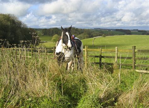 Pennine Bridleway