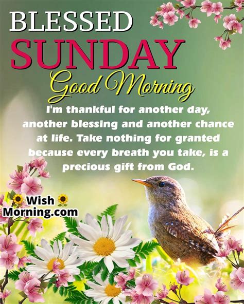 Best Sunday Morning Quotes Wishes - Wish Morning