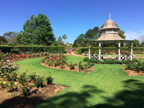 Wollongong Botanic Garden: UPDATED 2019 All You Need to Know Before You Go (with PHOTOS)