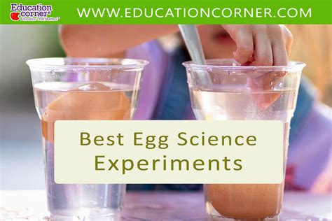 16 Best Egg Science Experiments - Education Corner