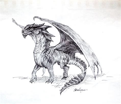 Pen Sketch of a Dragon: My Mr MArt Contest entry — Steemit