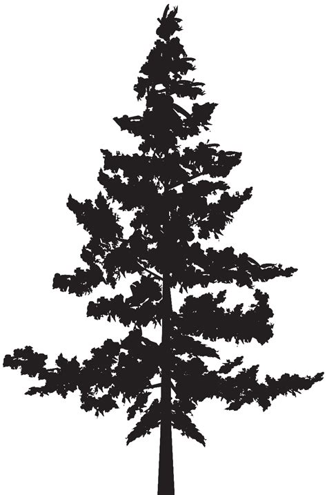 Download High Quality pine tree clip art high resolution Transparent PNG Images - Art Prim clip ...