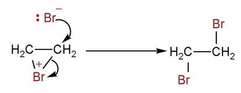 When an alkene is mixed with bromine water:A. The bromine water changes from orange to ...