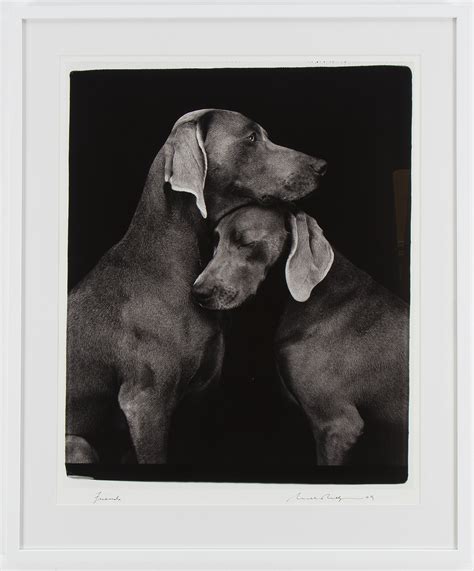 WILLIAM WEGMAN, photography signed William Wegman, edition of 1500 ...