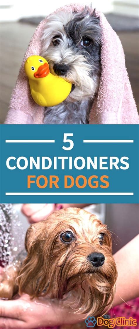 Dog conditioners can leave your pet's hair shiny, healthy, and tangle-free. Here are five of the ...