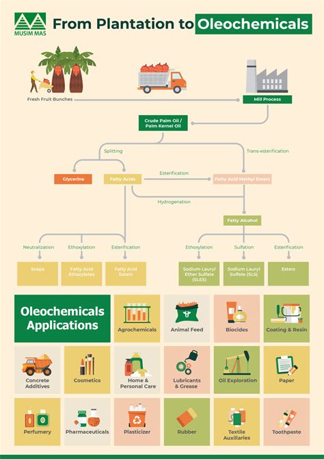 How is Palm Oil Made into Oleochemicals? - Musim Mas