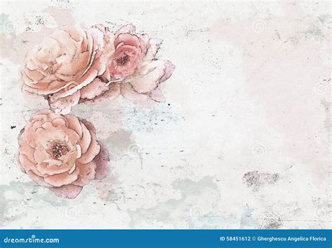 Rose Background Watercolor Royalty-Free Cartoon | CartoonDealer.com #58451612