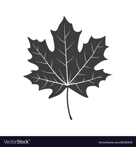 Maple leaf silhouette Royalty Free Vector Image