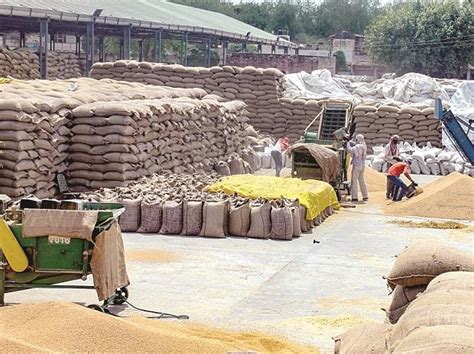 India's Bold Grain Storage Strategy — Balanced Report