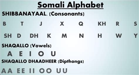 Key milestones in the history of Somali language – Goobjoog English