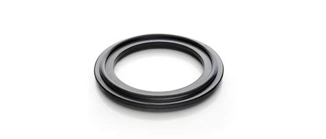 Viton gaskets | BioPure | WMFTG Biopharm