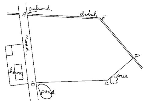 5. CALCULATING SURFACE AREAS OF IRREGULAR SHAPED FIELDS