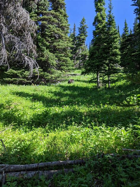 Shadow Lakes Trail - Washington | AllTrails