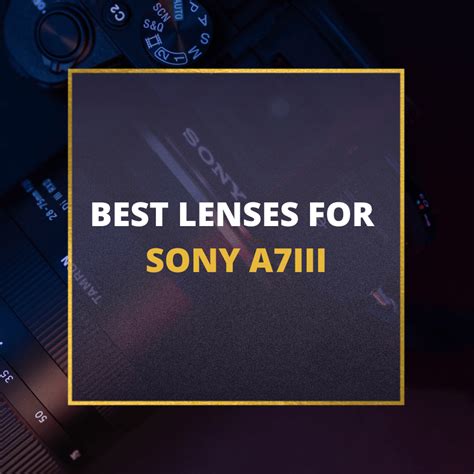 📸 5 MUST-OWN Lenses For Sony A7III In 2024 [Guide]