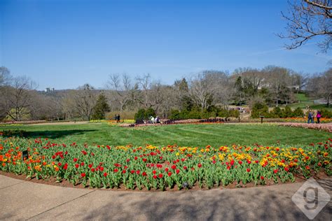 Fun Things To Do: Cheekwood Estate and Gardens | Nashville Guru