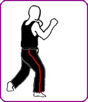 physical-arts.com -training - roundhouse kick (right stance)