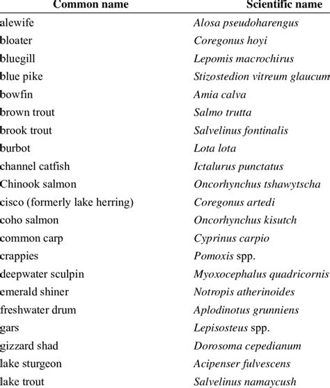 A list of common and scientific names of fish names used in this report. | Download Scientific ...