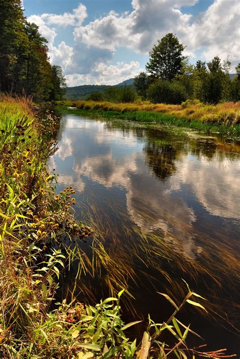 Discover West Virginia: The Most Scenic Trail in Canaan Valley