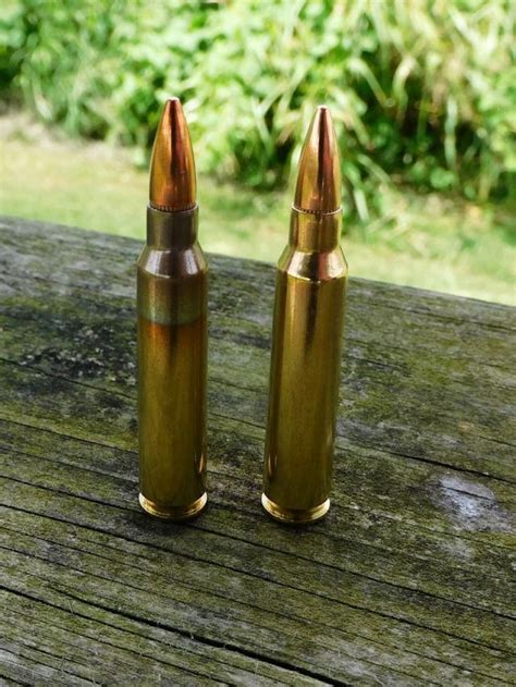 5.56 NATO vs. .223 Remington: What Is the Practical Difference?