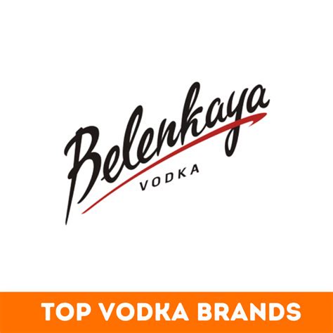 Top 32+ Best Vodka Brands in the World -BeNextBrand.com