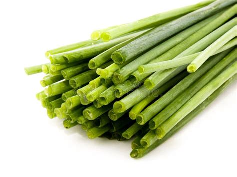 Fresh chives stock photo. Image of herb, closeup, chives - 15393858