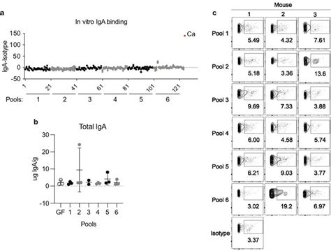 An IgA response is not induced by 124 distinct S. cerevisiae strains a,... | Download Scientific ...