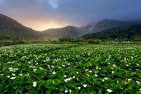 The best national parks in Taiwan - Lonely Planet