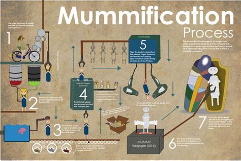 Mummification Process by Cassandra Foley, via Behance | Mummification process, Ancient egypt ...