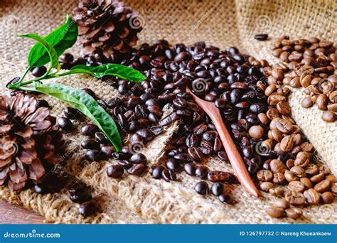 Organic coffee beans stock photo. Image of aroma, brown - 126797732