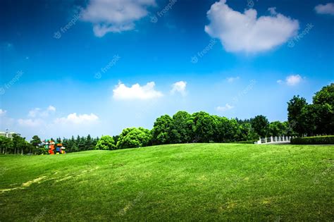 Premium Photo | Green grass on a golf field