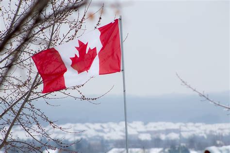 flag of canada, flag, canada, red, white, canadian, winter, tree, patriotism, nature | Pxfuel