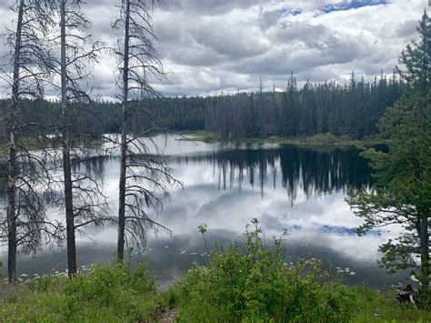 Buck Lake, Merritt BC, Canada : r/camping