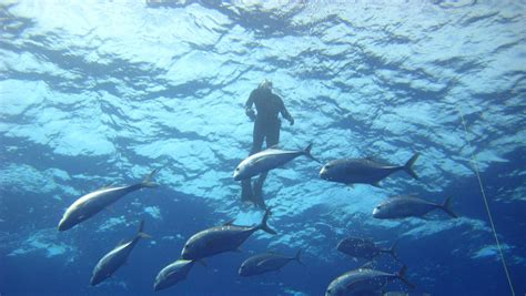 Office of Marine Conservation - United States Department of State