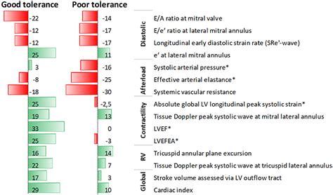 Dobutamine Drug Study