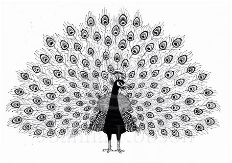 Joanna Robson Illustration: The girl with the peacock tattoo