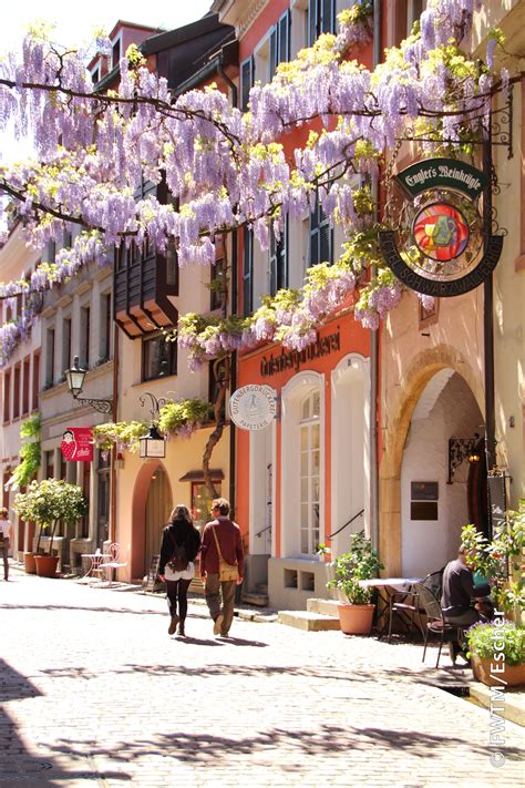 Shopping Expeditions in the Old Town of Freiburg. In the historic old ...