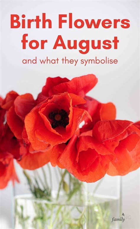 August birth flower: Gladiolus & Poppy - Growing Family | August birth ...