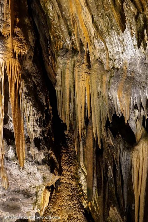 Bizarre and Beautiful: Postojna Caves, Slovenia – little bird around ...