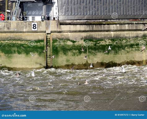 Thames flood barrier stock photo. Image of riverfront - 81097572