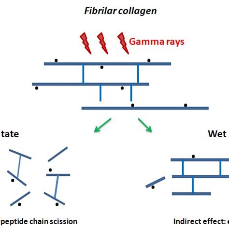 (PDF) Sterilization by Gamma Irradiation