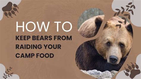 How to Keep Bears From Raiding Your Camp Food - Base Outdoor