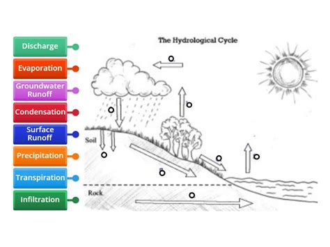 Water Cycle Diagram - Labelled diagram